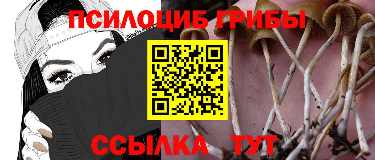 Галлюциногенные грибы Psilocybine cubensis  Галлюциногенные грибы Cubensis  Вход с VPN  Севастополь 